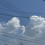 そば処 砂武縞 - 