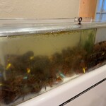 Fook Yuen Seafood Restaurant - 