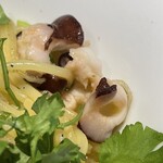 PASTA FRESCA TORNESTA - 