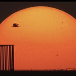 そば処 砂武縞 - 鳥の飛ぶカタチの巨大黒点、みたいな^_^