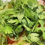 PASTA FRESCA TORNESTA - 