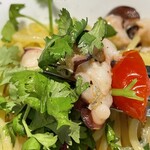 PASTA FRESCA TORNESTA - 