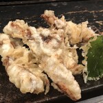 山元麺蔵 - 鶏ささみ天みぞれのざるうどん