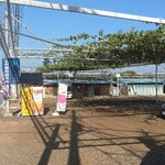 グレープショップ ココロ - 