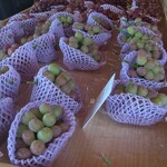 グレープショップ ココロ - 