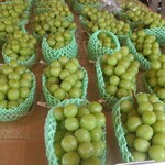 グレープショップ ココロ - 