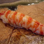 寿司一 - optio A30で撮影。車海老。