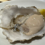 肉イタリアン Buona Carne - 北海道産生牡蠣
