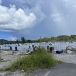 くるまえびキッチンTAMAYA - 