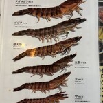 くるまえびキッチンTAMAYA - 