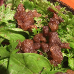 神楽坂 鉄板焼 中むら - 新鮮野菜サラダ　サーロインの脂身焼きを添えて