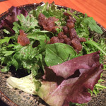 神楽坂 鉄板焼 中むら - 新鮮野菜サラダ　サーロインの脂身焼きを添えて