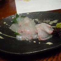 名古屋コーチン・旬菜 一鳳 金山本店 - お造り。平目