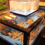 大宮 甲羅本店 - 