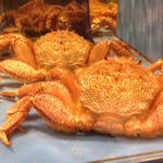 大宮 甲羅本店 - 