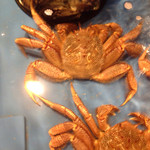 大宮 甲羅本店 - 