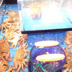 大宮 甲羅本店 - 