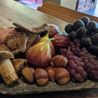 Terroir愛と胃袋 - 