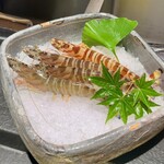 日本焼肉はせ川 別亭 - 