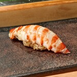 すし匠 - 車海老:赤酢