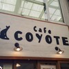 Coyote