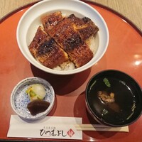 しら河 浄心本店 - 上うな丼と肝吸い
