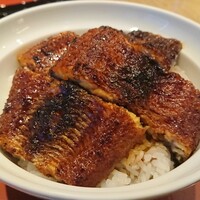 しら河 浄心本店 - うな丼、ドーン！