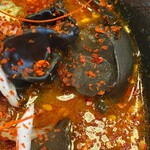 鷹の爪 - キクラゲ