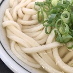 こがね製麺所 - ザラっとした見た目、
もちもち食感、安定のコシ！