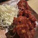 南国酒場リバーサイド - ヤンニョムチキン