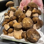 プレゼンテ スギ - 