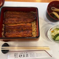 鰻割烹 伊豆栄 本店 -  鰻割烹 伊豆栄 本店 -