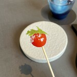 プレゼンテ スギ - [定点 トマト飴]