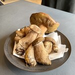 プレゼンテ スギ - ヤマドリダケ