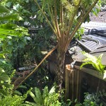 百年古家 大家 - 