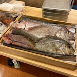 赤吉 - この日のお魚たち