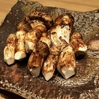 わたなべ - ９月の２週間だけ採れる栂松茸。