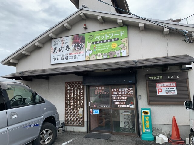 安井寿磨子　「こぶし 春　ゆるい風」　額入り　5/20 直筆サイン　大阪　堺の人 安井寿磨子 「こぶし 春 ゆるい風」 額入り 5/20 直筆サイン