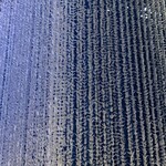 割烹蒲焼 大観楼 - 七夕…ｳｯﾄﾘしちゃいます(ㅅ´ ˘ `)✨