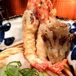 本町製麺所 天 - 海老天うどん