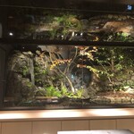 鮨shizuku 西天満 - 