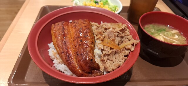 Sukiya Nishi Shinjuku Gochome Ekimae Ten photo 2