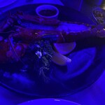 HORIZON RESTAURANT & BAR - 