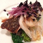 スペッロ - 平目のソテー白エビ添え