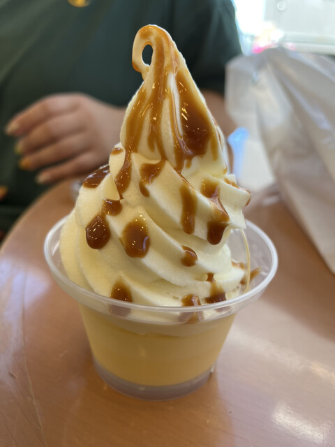 Ryuu getsu Tsukisamuten photo 4