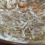鳴門うどん - 