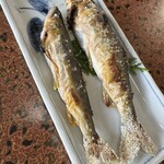旅館藤乙 - 鮎の塩焼き