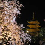 Fujiya - 東寺さんの夜桜のライトアップ♪
