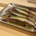 赤吉 - カリスマ漁師 藤本純一さんの魚たち