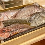 赤吉 - カリスマ漁師 藤本純一さんの魚たち